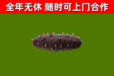 崇仁烟酒回收干海参.jpg